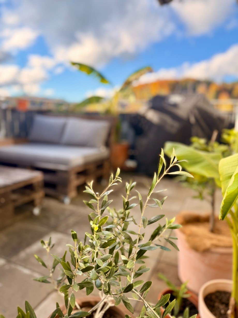 IMG_8770 Wohnung Hallwang bei Salzburg