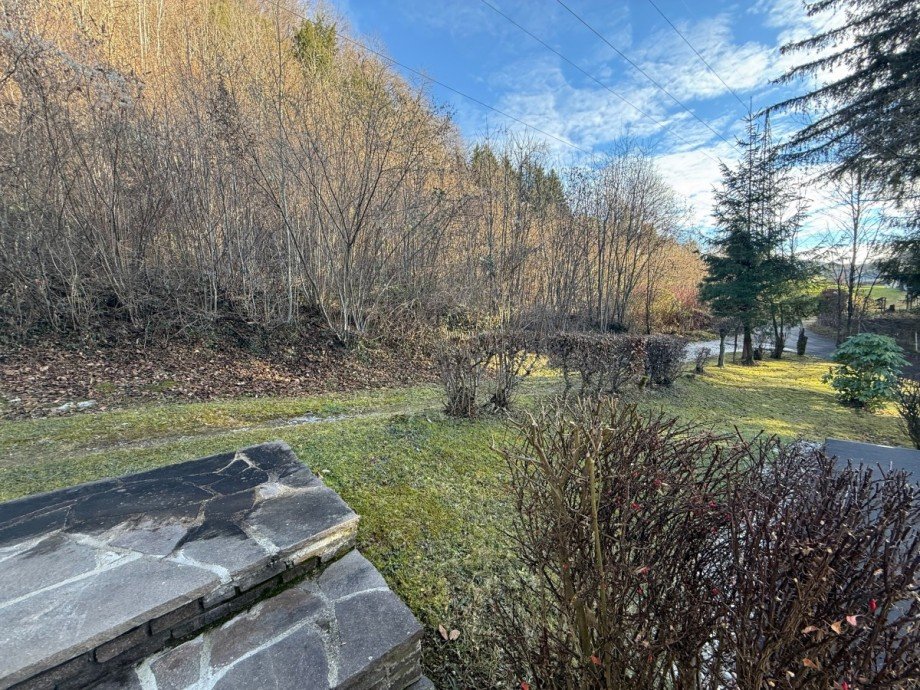 Blick in die Natur, bzw. auf das begr�nte Dach der Einzelgarage Einfamilienhaus Puch