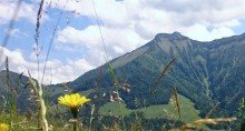 Krispl Sommerr Wundersch�nes Grundst�ck mit Sonnengarantie: Hanglage in Krispl zu verkaufen