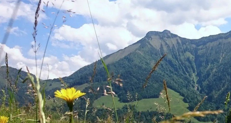 Krispl Sommerr Krispl Wohngrundst�ck Wundersch�nes Grundst�ck mit Sonnengarantie: Hanglage in Krispl zu verkaufen