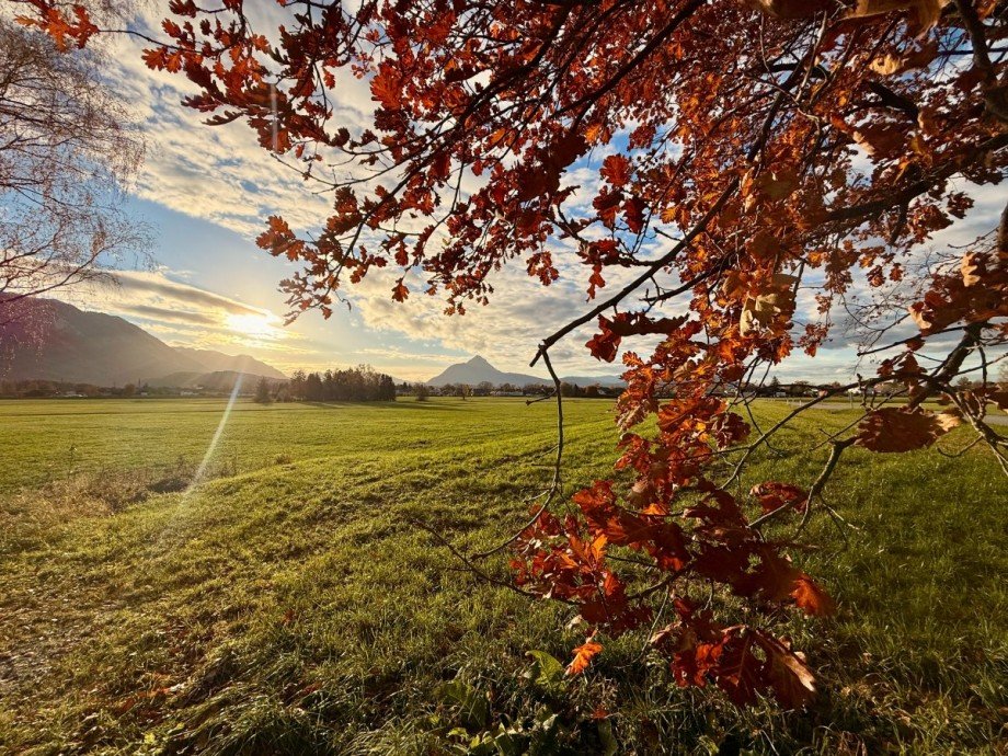Nachbarschaft - Natur - Umgebung - Leopoldskron Einfamilienhaus Salzburg