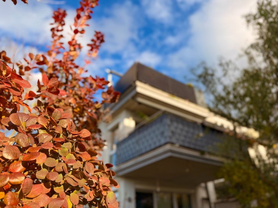 IMG_8827 Wohnung Hallwang bei Salzburg