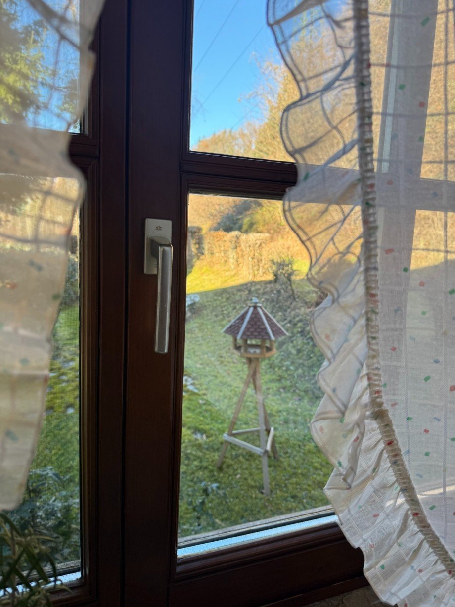 Blick aus der K�che Einfamilienhaus Puch